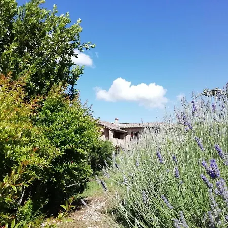 Gli Arcangeli Nocleg ze śniadaniem *