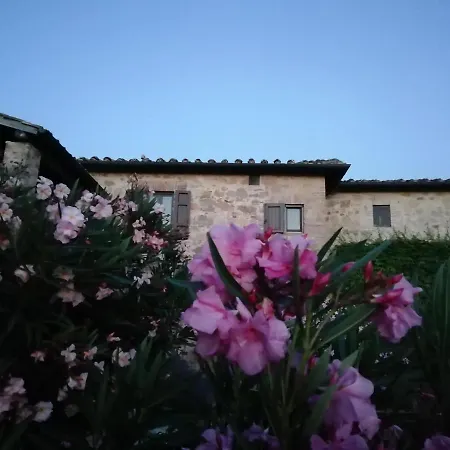 Gli Arcangeli * Casole dʼElsa