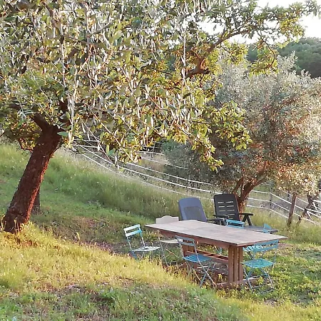 Bed & Breakfast Gli Arcangeli
